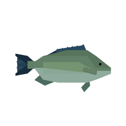 Prgie Fish Fisch: Porgy | Bloxtsar